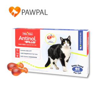 Antinol Cat 60 caps 🔥Exp.2028 อาหารเสริมบำรุงข้อ ลดอักเสบ ลดการบาดเจ็บ สำหรับน้องแมว