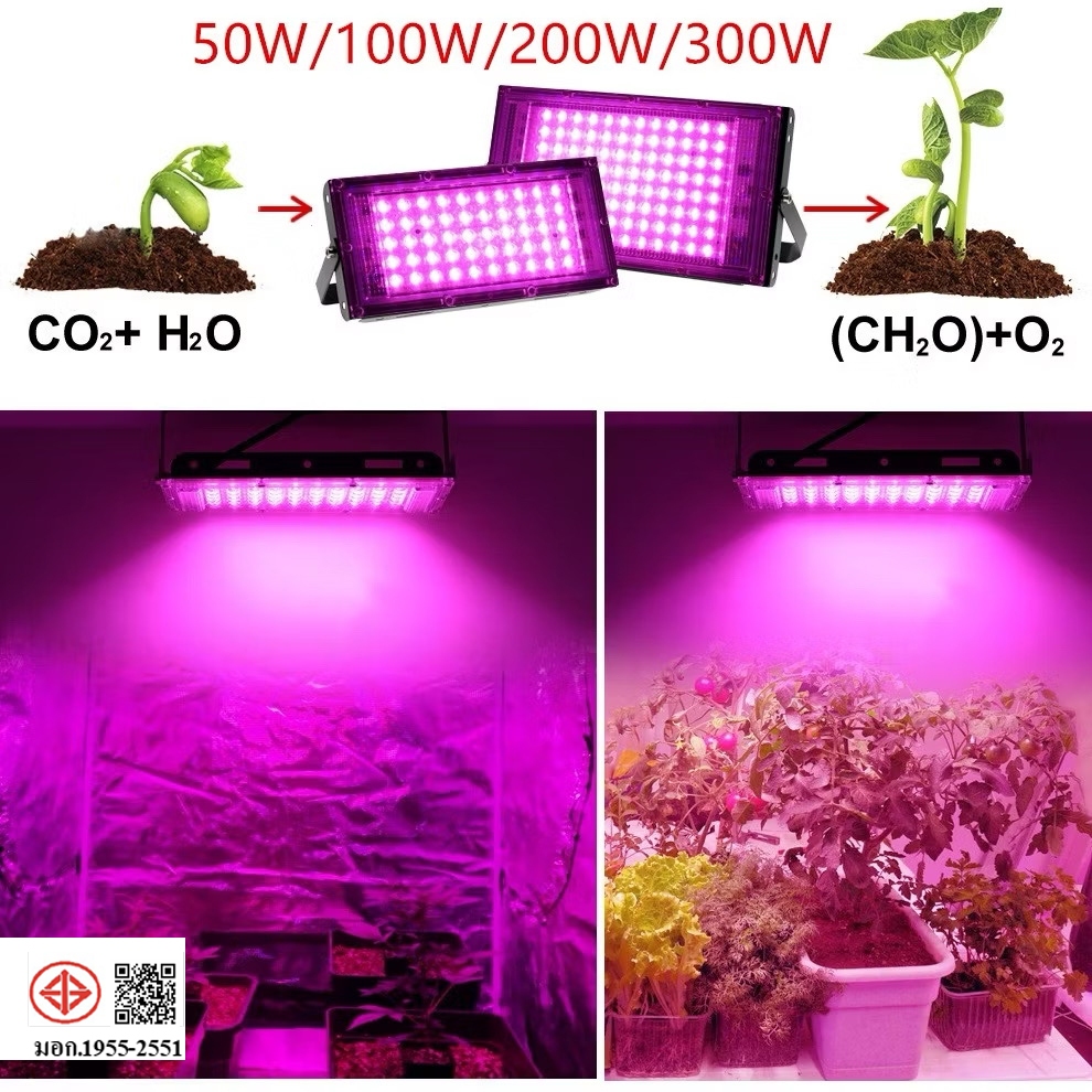 220V Full Spectrum LED Grow Light 50/100W/300W ไฟปลุกต้นไม้ ไฟช่วยต้นไม้ตัวเร็ว แสงขาว  มีสวิตช์ปิดเปิด สายไฟยาว1.5M