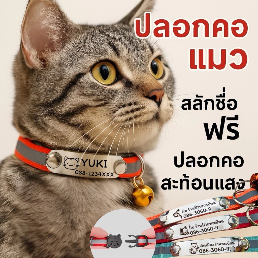 ปลอกคอแมวนิรภัยสะท้อนแสง สลักชื่อฟรี
