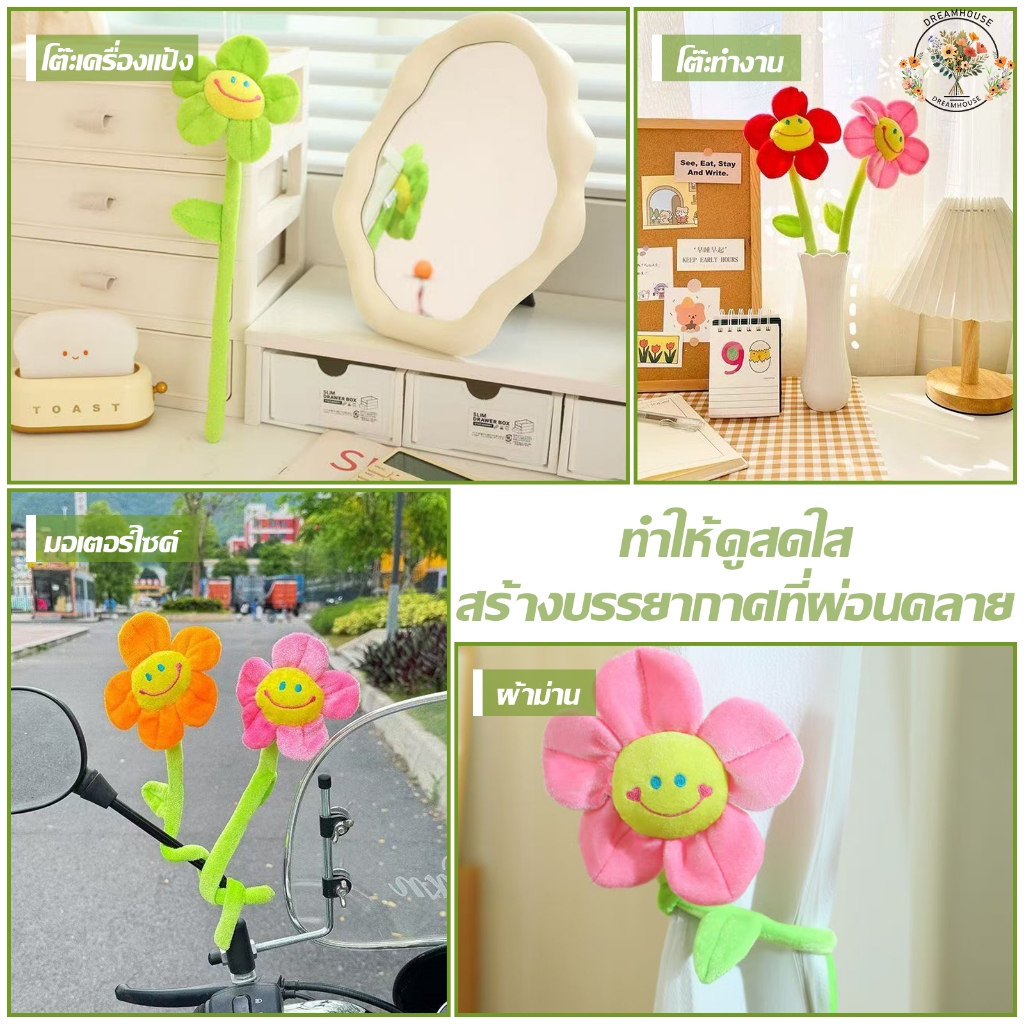 รูปภาพ 8