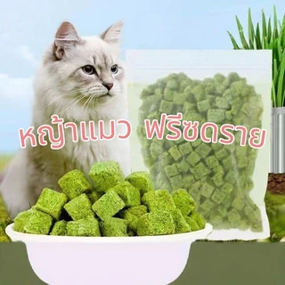 MI ขนมหญ้าแมว ฟรีซดราย ผลิตจากต้นอ่อนข้าวสาลี ผสมอกไก่ Catnip