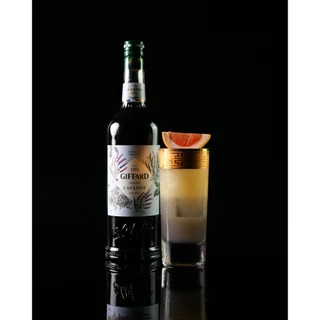 Giffard Mixology Size 1L