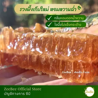 รวงผึ้ง รังผึ้ง 400 กรัม, Honeycomb 400g | ZeeBee อมตะฟาร์ม