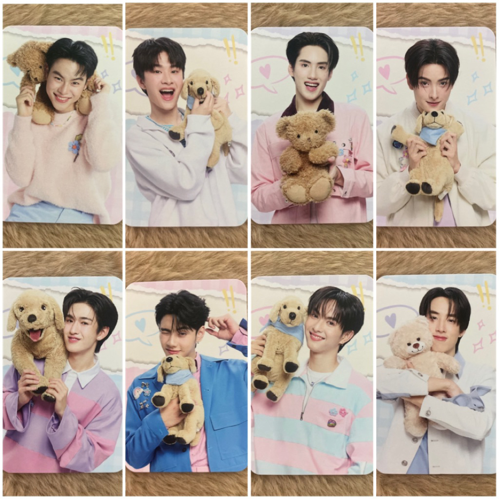 [พร้อมส่ง] Photo card Son of Fineline BUS โฟโต้การ์ดไฟน์ไลน์ บัส