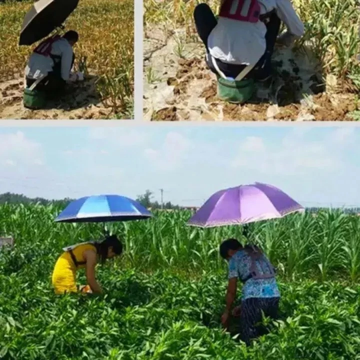 ร่มสะพายหลัง ร่มตกปลา ร่มทำสวน ร่มคุมงาน thumbnail 10