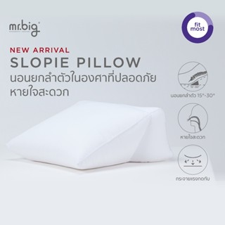 mr.big Slopie Pillow - หมอนสโลปี้ ยกลำตัว นอนสบาย ลดกรด ลดกร…