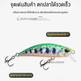 HALODN เหยื่อตกปลา ลาพลาสติก เหยื่อเบส Minnow Sinking Lure ปลอม 5 กรัม 5 ซม. พร้อมตะขอ 2 ชิ้น นตกปลาล