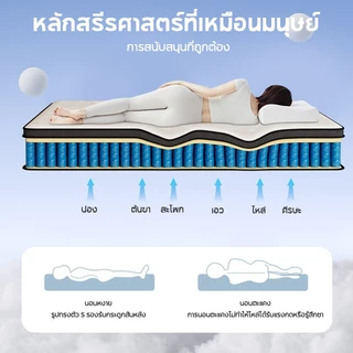 KUCADI ที่นอนสปริง หนา 13 นิ้ว 90/150/180cm สัมผัสเย็น 100% เกรดพรีเมียม คืนตัวรวดเร็ว เงียบไร้เสียง
