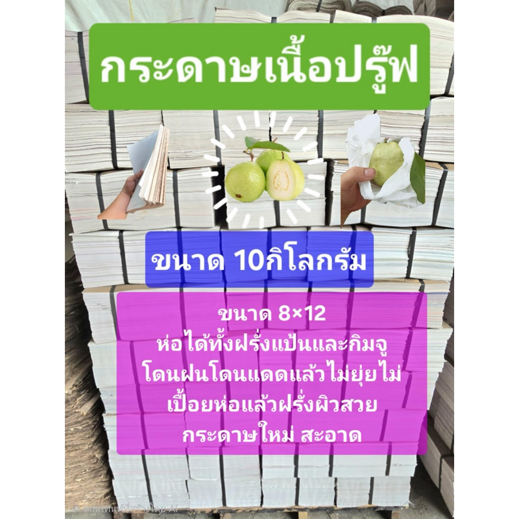 กระดาษปรู๊ฟ (ขนาด10กิโลกรัม) ขนาด 8×12 เหมาะสำหรับห่อฝรั่ง ตัดขนาด 8 ×12 นิ้ว ห่อได้ทั้งฝรั่งแป้นและกิมจู