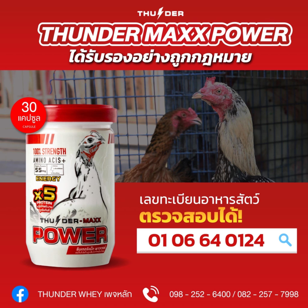 THUNDER MAXX POWER อาหารเสริมโปรตีนสำหรับไก่ชนชนิดให้พลังงาน ราคา ถูกที่สุด ดีลบีเคเค แกลเลอรีภาพที่ 3