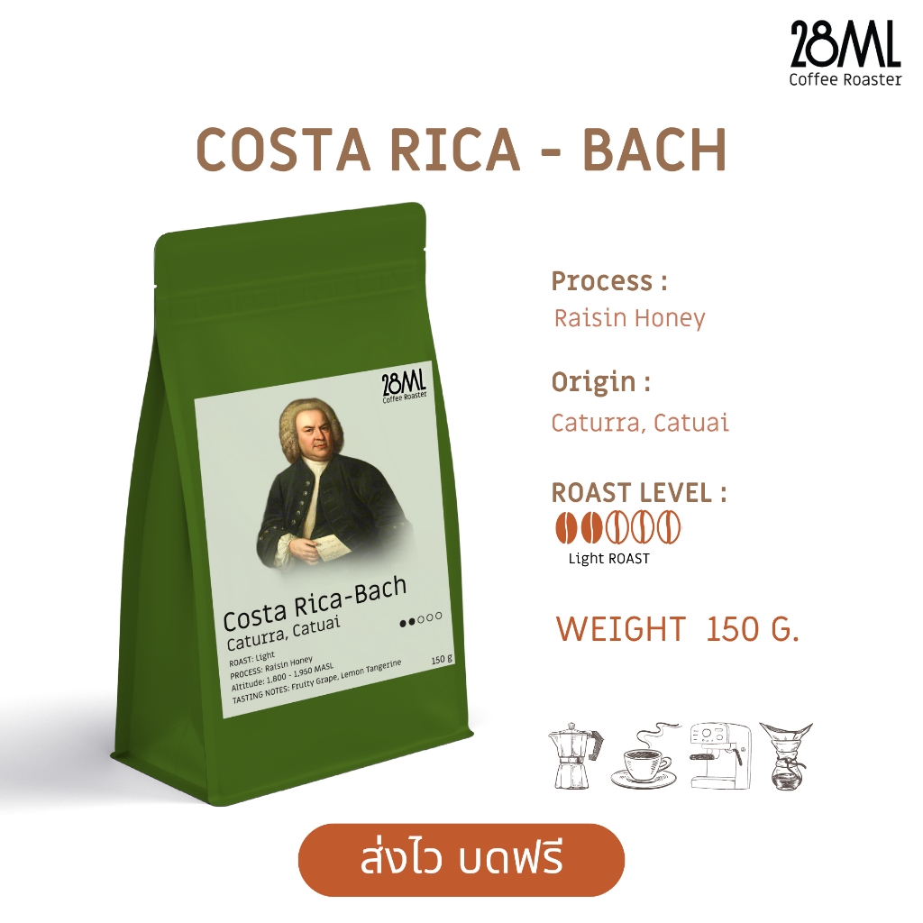 เมล็ดกาแฟ คั่วอ่อน Costa Rica Bach  | 28ml  Specialty Coffee 150g