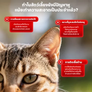 Yoyo Pet : Ear Care Solution ดูแลทำความสะอาดช่องหูสัตว์เลี้ยง สูตรอ่อนโยน ปลอดภัย ใช้ง่าย