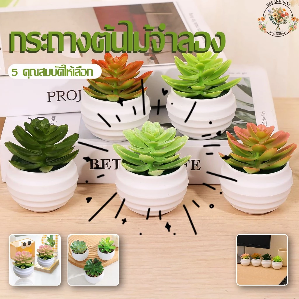 จําลองพืชอวบน้ํามินิบอนไซ รูปร่างเต็ม สีที่สมจริง การจำลองระดับสูง บอนไซสำนักงาน สีเขียวบรรเทาความเมื่อยล้า
