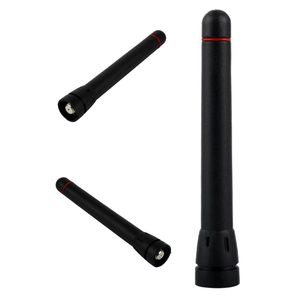 รูปภาพ 5