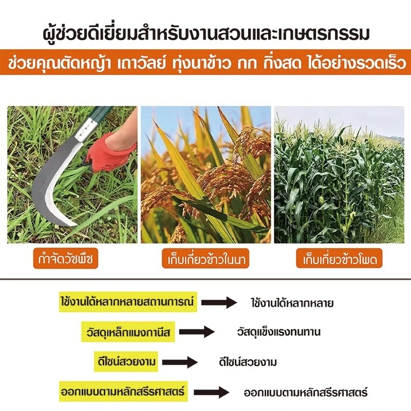 มีด มีดเหล็กแมงกานีส เครื่องตัดหญ้า กรรไกรตัดกิ่งไม้ มีดทำสวน มีดกล้วย (ใช้ตัดไม้ ตัดหญ้า และแต่งกิ่ง) - รูปที่ 6