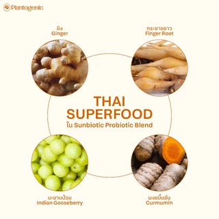 Plantogenic - Sunbiotic โพรไบโอติก และสมุนไพร ขิง ขมิ้น กระชาย ปรับสมดุล ช่วยท้องอืด ไม่ย่อย ไม่เติมน้ำตาล (Plant-based)