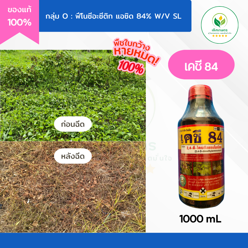 24ดีน้ำ เคซี84 ใช้จริง! รีวิวจริง! สารกำจัดวัชพืชใบกว้าง ผักปอดนา เบี้ยหิน หนวดปลาดุก หญ้ากก