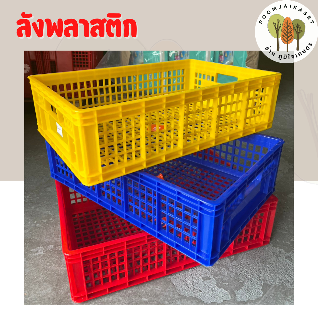 ลังทรงเตี้ย ขนาด 38x57x15 ซม. ลังอุตสาหกรรม ลังใส่ของ กล่องพลาสติก ตะกร้า แข็งแรงทนทาน