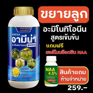 อะมิโนขยายผล อามีน่า (ฟ้า)แถมNAAฟรี  ผลโตไว ใช้กับไม้ผลทุกชน…