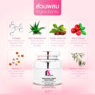 🔥แพ็คเกจใหม่🔥ครีมบำรุงผิวหน้า LX Lexia Whitening ไวท์เทนนิ่ง สิว ฝ้า ริ้วรอย หน้าหมองคล้ำ by Annabee