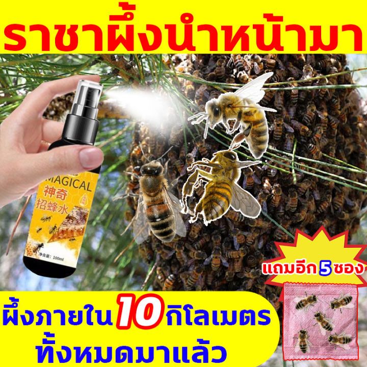 🐝ผึ้งมาทันที🐝เก็บผึ้งทั้งฝูง หัวเชื้อล่อผึ้ง ใช้ดีกว่าไขผึ้ง ฟีโรโมนล่อผึ้ง สูตรเข้มข้น ฟีโลโมน ล่อผึ้งไขผึ้งธรรมชาติ