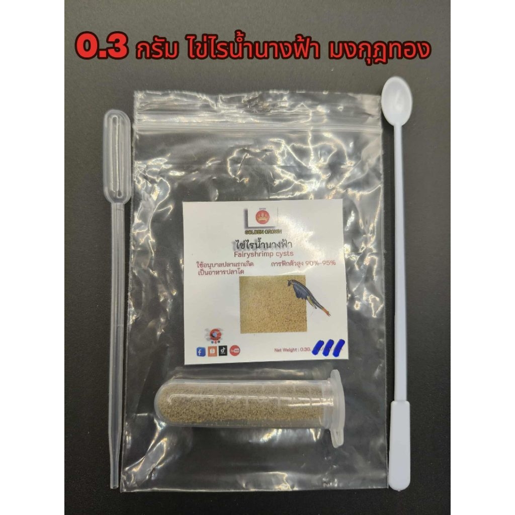 ไข่ไรน้ำนางฟ้า มงกุฎทอง (GOLDEN CROWN)  0.3 กรัม