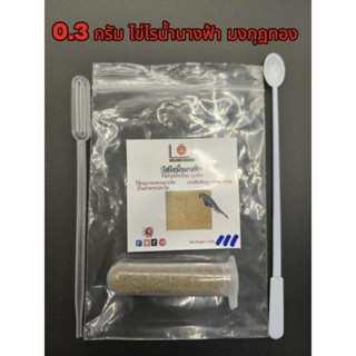 ไข่ไรน้ำนางฟ้า มงกุฎทอง (GOLDEN CROWN)  0.3 กรัม