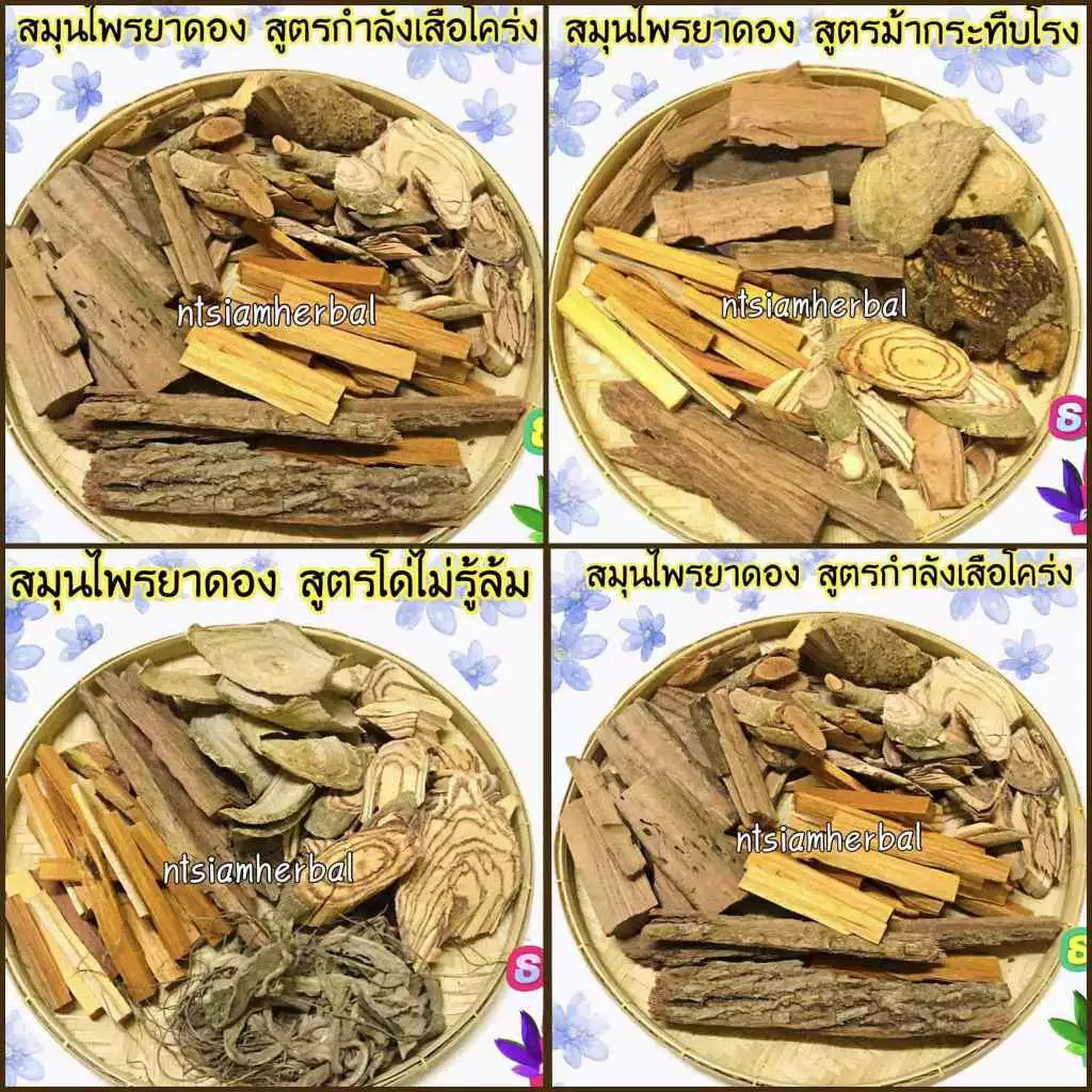 ยาดองสมุนไพร 14สูตร ยาดองเหล้า ใช้ดอง ใช้ต้ม