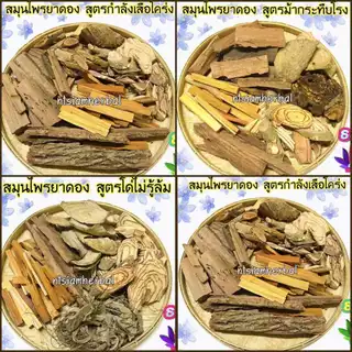 ยาดองสมุนไพร 14สูตร ยาดองเหล้า ใช้ดอง ใช้ต้ม