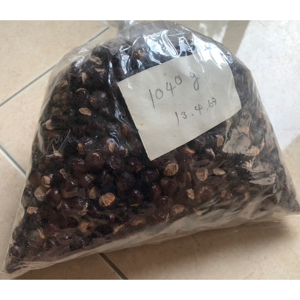 แกนลำใย เม็ดลำใย เมล็ดลำใย ตากแห้ง ธรรมชาติ 100% คละไซต์
