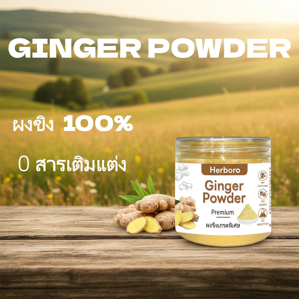ผงขิงสกัด มีอย. แท้ ไม่ผสมแป้งและน้ำตาล( Ginger Powder ขิงผง ผงขิง ขิงบด ผงขิงบด เครื่องดื่มขิง น้ำขิง ขิงสำเร็จรูป )
