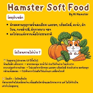 [HiHamster] อาหารผง Hamster Soft Food สำหรับแฮมชรา สัตว์ป่วย เบื่ออาหาร และทุกช่วงวัย