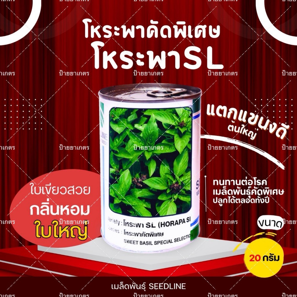 เมล็ดพันธุ์ โหระพาคัดพิเศษ SL ขนาด 20 กรัม ตราซีดไลน์ ปลูกง่าย โตไว ใบหอม ใหญ่ ผักสวนครัว