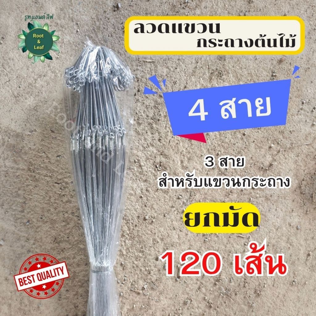 ลวดแขวนกระถางต้นไม้ 4 สาย แบบยกมัด จำนวน 120 เส้น ลวดอย่างดี แข็งแรงทนทานลวดแขวนกระถาง แขวนกระเช้า คุณภาพเกรดดี