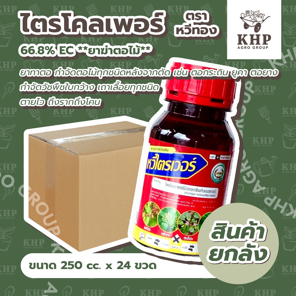 ราคาส่ง ยกลัง x 24 ขวด (250 cc) ยาฆ่าตอไม้ ทุกชนิด ตอกระถิน ยูคา ตอยาง วัชพืชใบกว้าง เถาเลื้อย ไตรโคลเพอร์ 66.8% หวีทอง