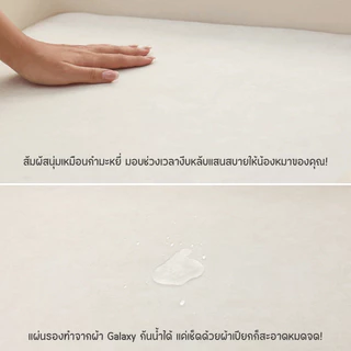 Cocopet เบาะนอนสัตว์เลี้ยง รุ่น Galaxy Premium Air Net (แถมหมอนในเซท) แบบกันน้ำ กันรอยขีดข่วน และไม่เป็นขุย