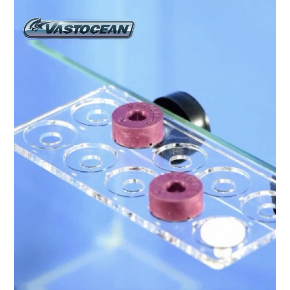 ฐานแฟรกปะการัง  Vastocean