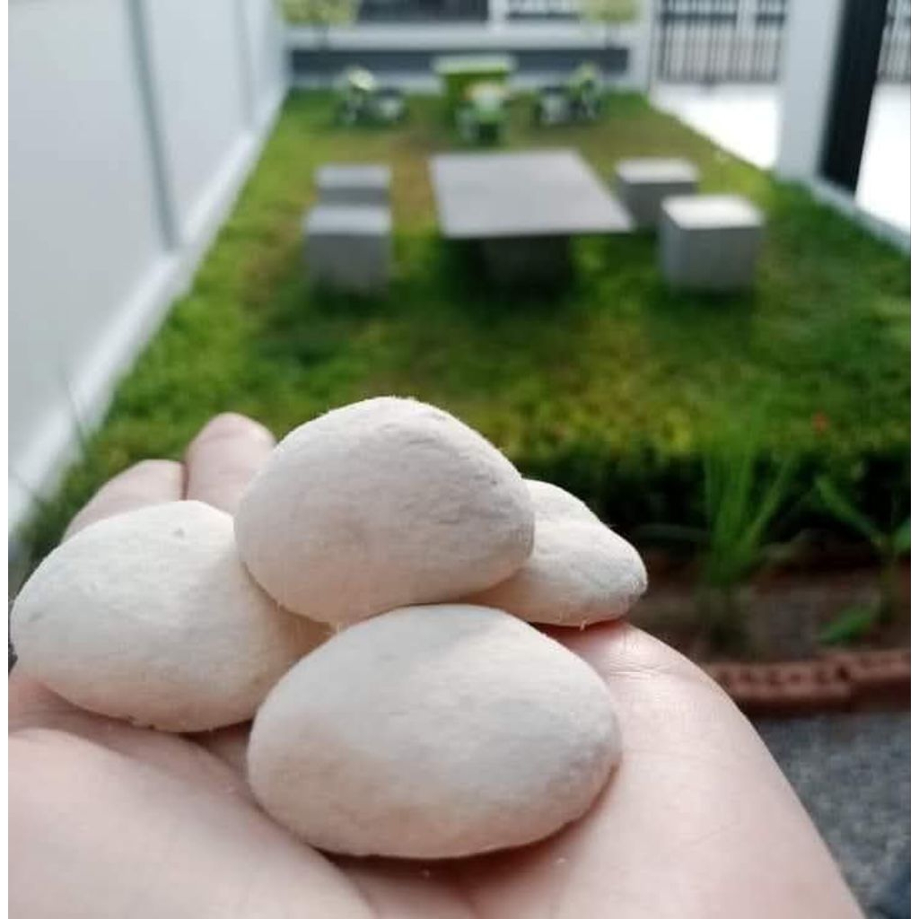 แป้งข้าวหมากแม่สมจิตร ชุด 20 ลูก