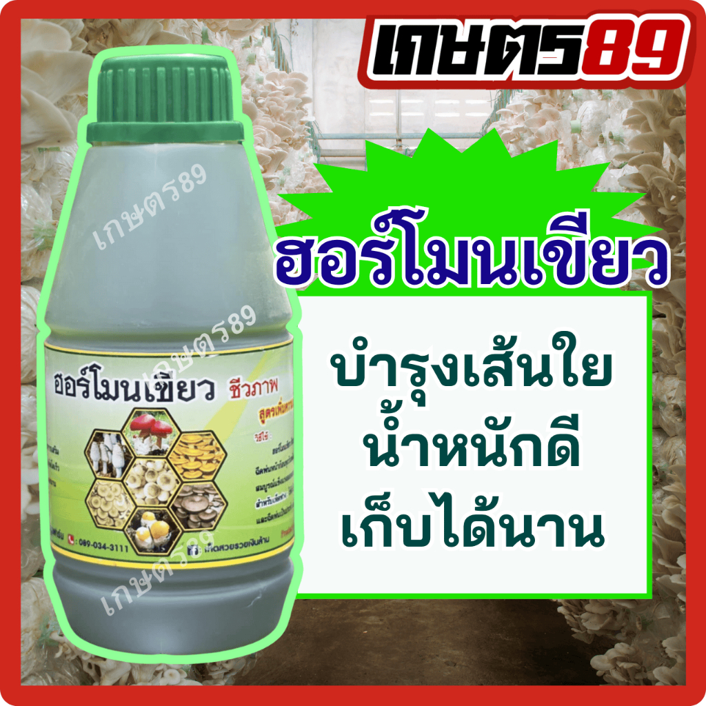 ฮอร์โมนเขียว อาหารเสริมสำหรับเส้นใยเห็ดและดอกเห็ด เหมาะกับเห็ดทุกชนิด เห็ดหูหนู เห็ดนางฟ้า เห็ดฟาง 500มล.