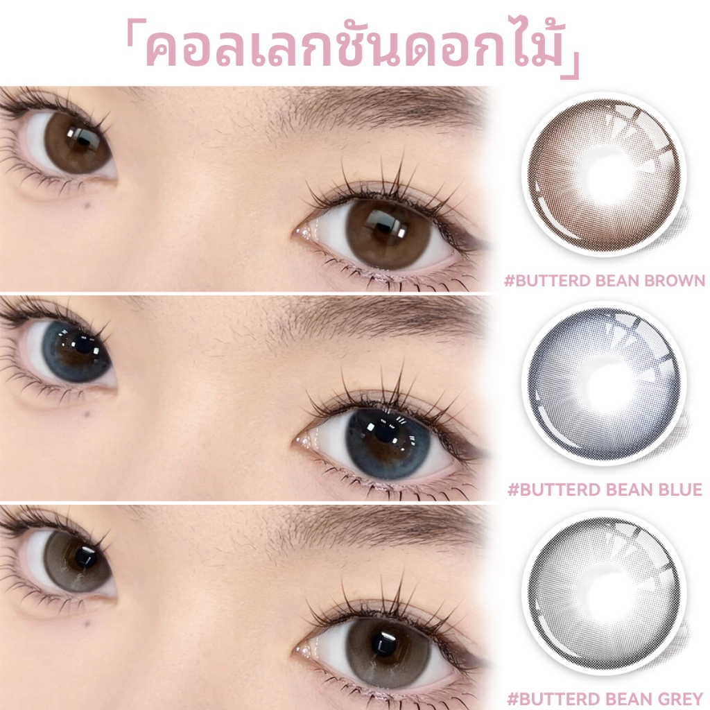 【2คู่แถมขนตาปลอม】0.00~-8.00 Midroo แว่นตาสายตาสั้น คอนแทค  Butter Bean Brown/Grey/Blue-14.2mm