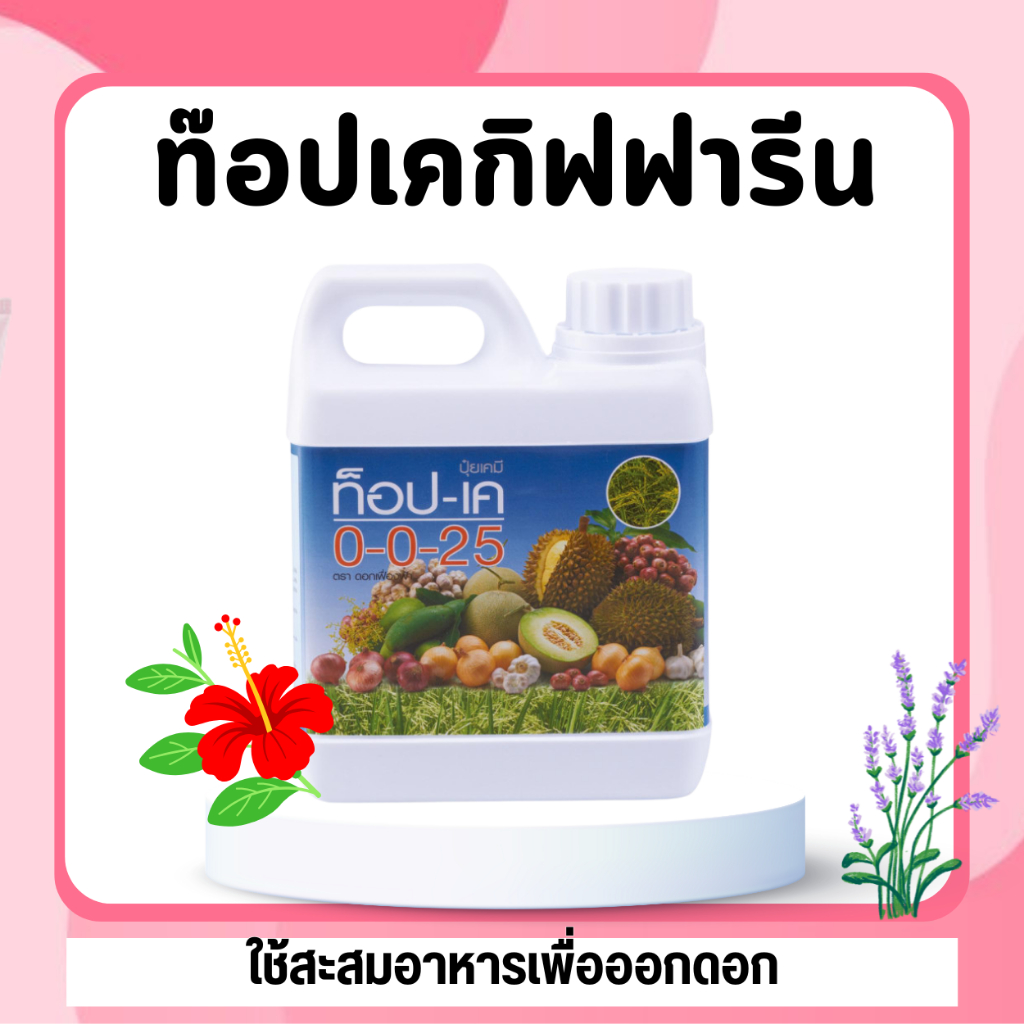 ท็อปเค กิฟฟารีน 5 ลิตร ปุ๋ยท็อปเค 0-0-25 ปุ๋ยยับยั้งการแตกใบอ่อน