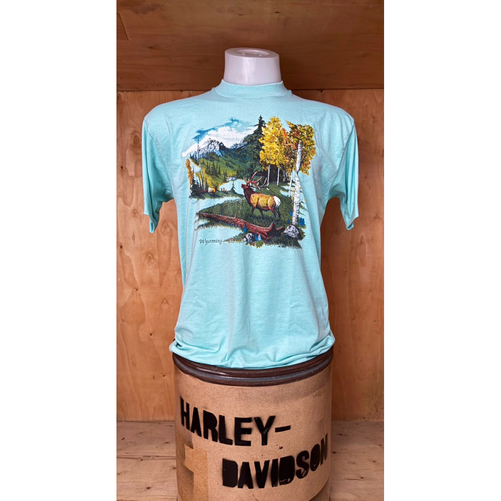 Vtg.80s Screen Stars “Wyoming”