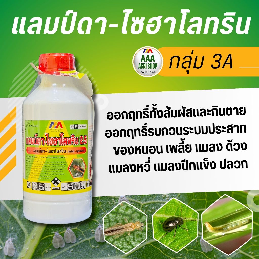 แลมป์ดา ไซฮาโลทริน ป้องกันกำจัด เพลี้ยอ่อน เพลี้ยไฟ เพลี้ยจักจั่น แมลงหวี่ขาว ด้วงหมัดกระโดด แมลงหร่า หนอนต่างๆ