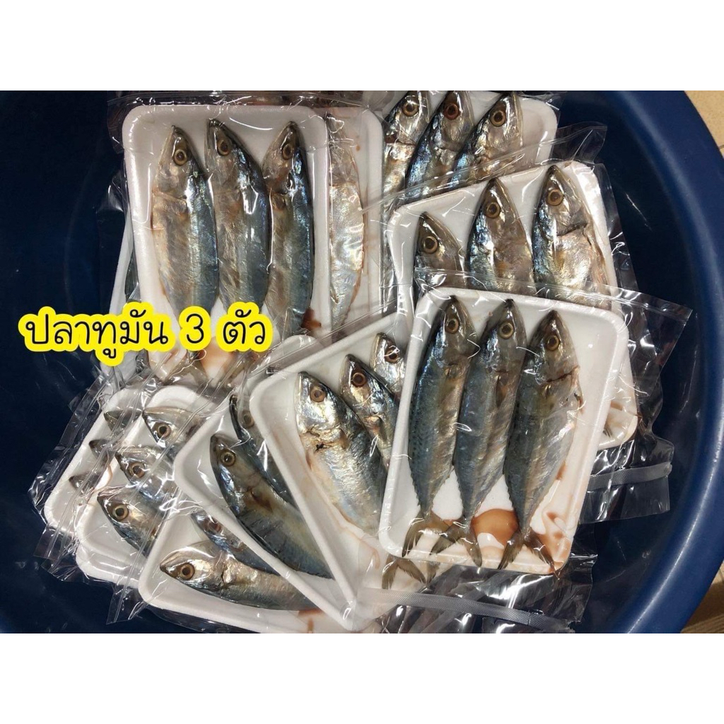 ปลาทูมันเค็ม แพ็ค 3ตัว