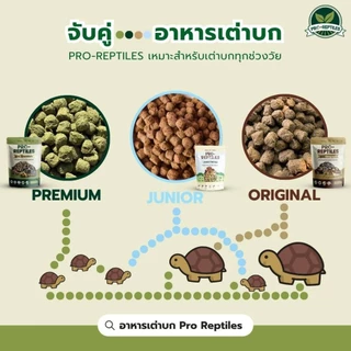 🧡(Lotใหม่สุดEXPเดือน7/2028)🧡🐢อาหารเต่าบกPro-reptiles Junior สูตรเต่าเด็กเม็ดเล็ก🐢