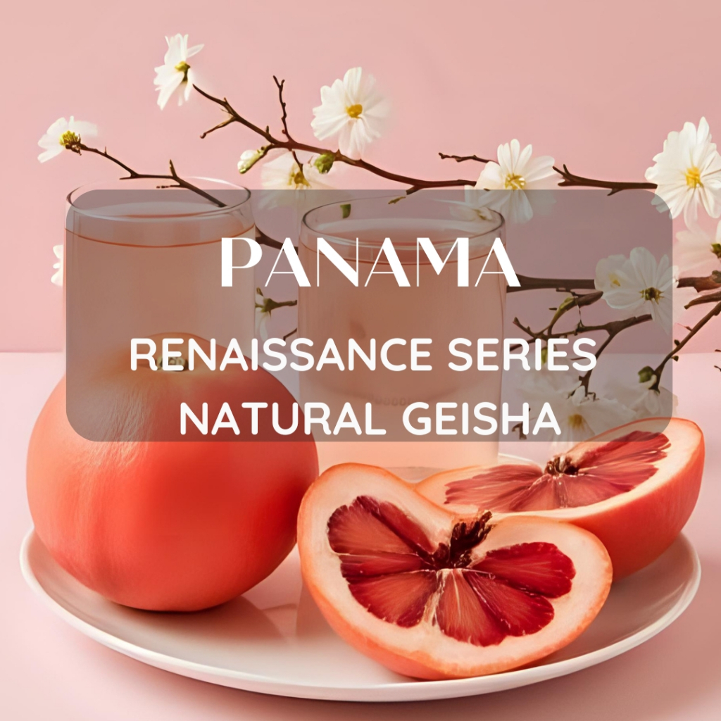 สารเมล็ดกาแฟ  Panama Renaissance series Natural Geisha ขนาด 1000g