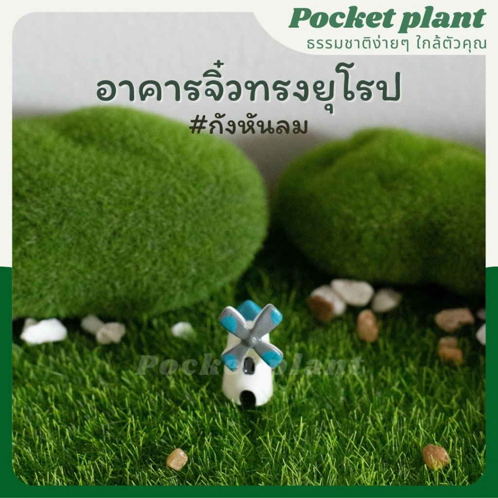 มุมมอง 5