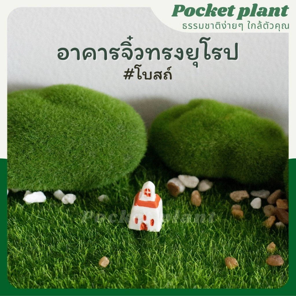 มุมมอง 2