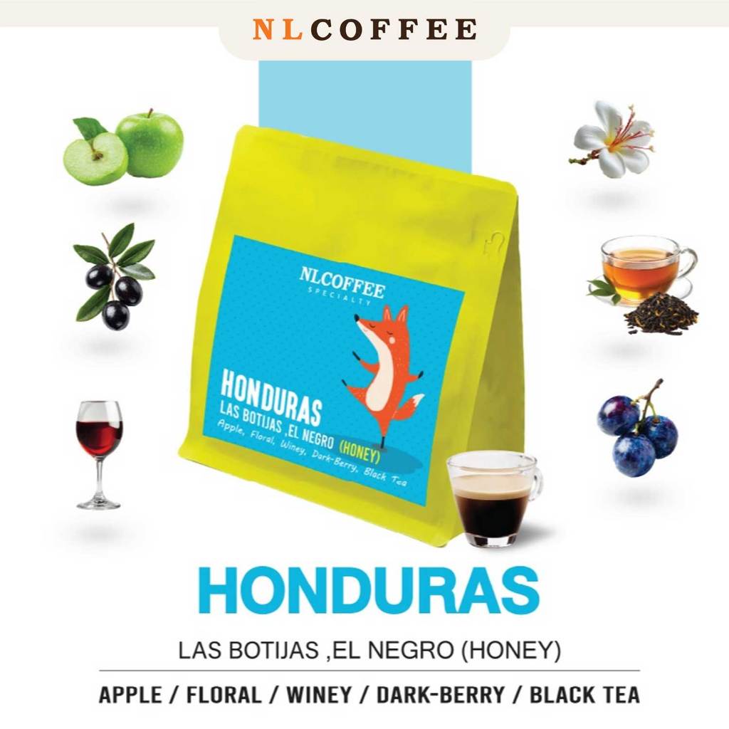 NLCOFFEE SPECIALTY เมล็ดกาแฟ Honduras : Las Botijas (Honey) 200กรัม