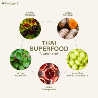 Plantogenic - Green Flow ไฟเบอร์ปัดกวาดสิ่งตกค้าง ช่วยการขับถ่าย เพิ่มมวลอุจจาระ ไม่ปวดบิด ไม่เติมน้ำตาล (Plant-based)
